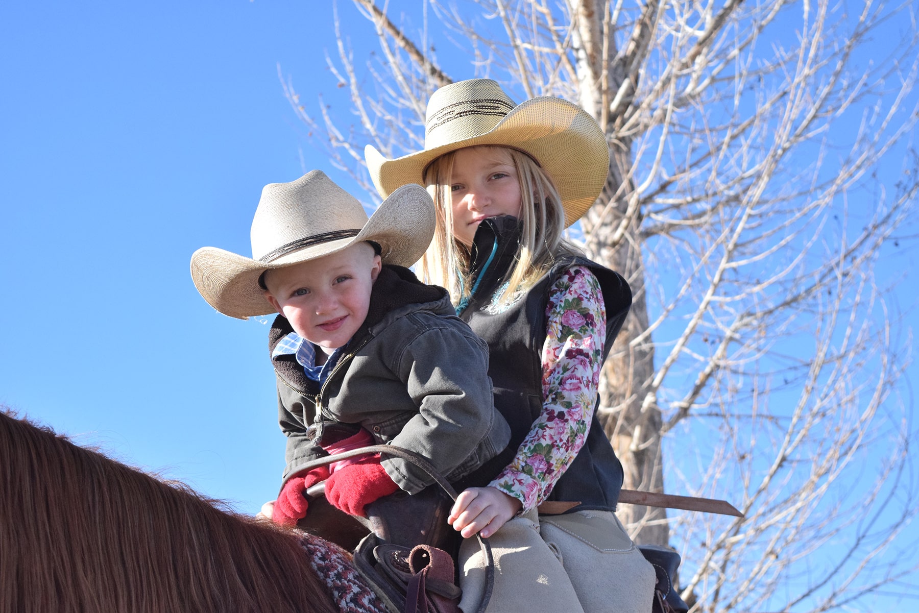Little Cowboys 10 Little Cowboys -Little Cowboys cowgirl grace min